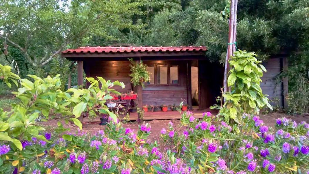O Cantinho De Coura - A Cabana Paredes de Coura Exterior photo